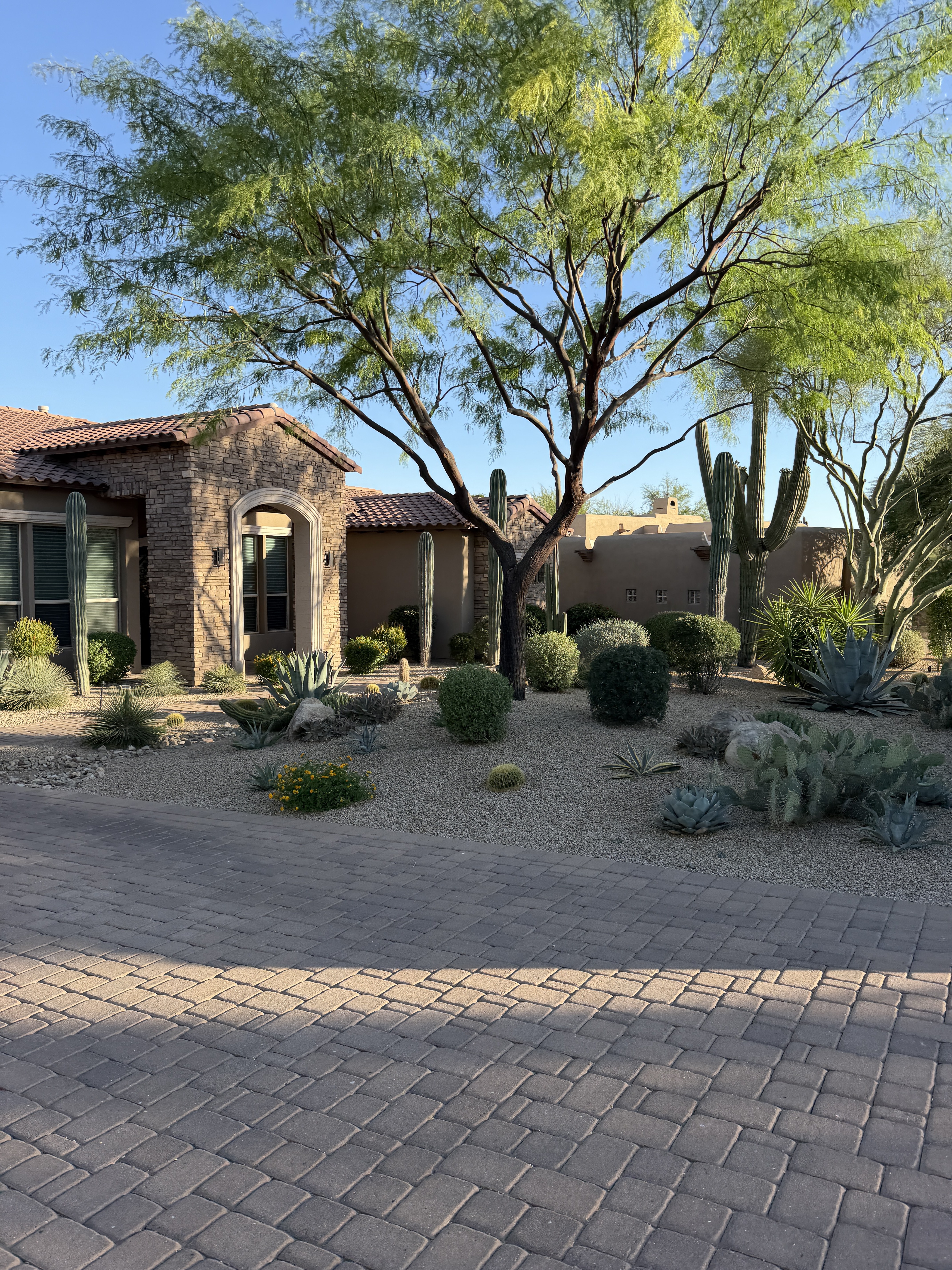Premium desert landscaping — Surprise AZ — CNC Lawncare